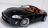 Lost Jaguar Keys