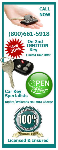 professional locksmiths